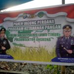 Panen Jagung Perdana di Desa Maliwowo: Langkah Nyata Dukung Ketahanan Pangan Sulsel