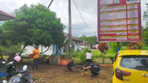 WhatsApp Image 2025-04-11 at 21.26.33