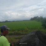 WhatsApp Image 2025-05-11 at 08.53.59