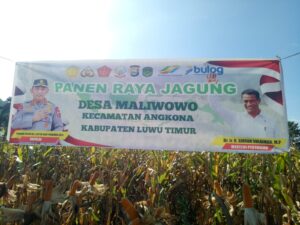 WhatsApp Image 2025-05-18 at 00.05.49