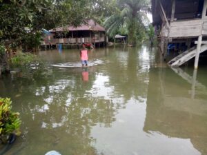 WhatsApp Image 2025-05-20 at 18.51.27