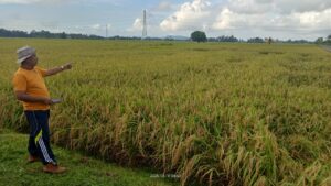 WhatsApp Image 2025-05-21 at 16.57.03 (2)