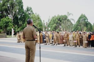 WhatsApp-Image-2025-05-26-at-09.49.25-1