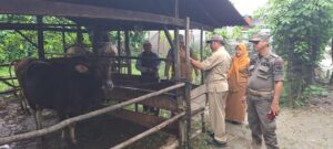 WhatsApp Image 2025-06-03 at 11.48.48