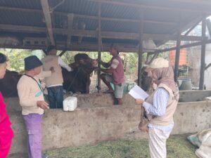 WhatsApp Image 2025-07-19 at 18.33.33