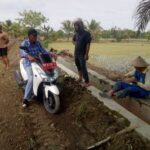 Warga Lampaenai Swadaya Perbaiki Jalan Tani, Bupati Luwu Timur Bantu Fasilitasi Alat Berat WhatsApp Image 2025-08-29 at 14.09.03 (1)