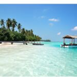 WhatsApp Image 2025-09-03 at 05.39.57