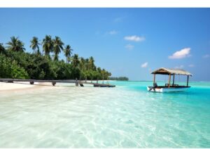 WhatsApp Image 2025-09-03 at 05.39.57