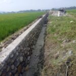 WhatsApp Image 2025-10-16 at 21.32.37