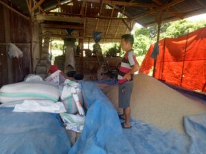 WhatsApp Image 2025-12-04 at 22.42.08