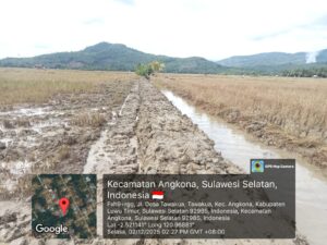 WhatsApp Image 2025-12-09 at 19.35.24 (1)