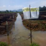 Pemdes Tawakua Kerjakan Normalisasi Pembuangan di Dusun Tawakua WhatsApp Image 2025-12-09 at 19.37.18