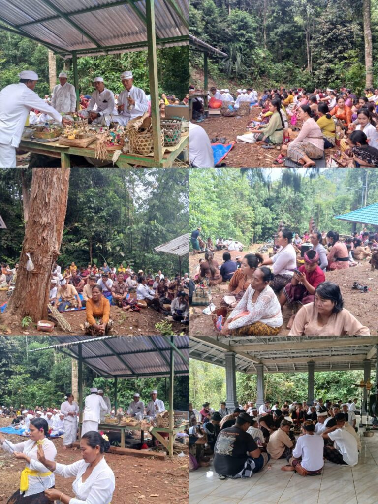 WhatsApp Image 2026-03-17 at 10.16.25