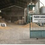 Upah Ditahan, Buruh Dipaksa Kerja Berat di Pabrik Gabah 45 Bojoe Sidrap