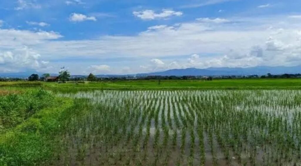 WhatsApp Image 2026-03-31 at 11.56.17