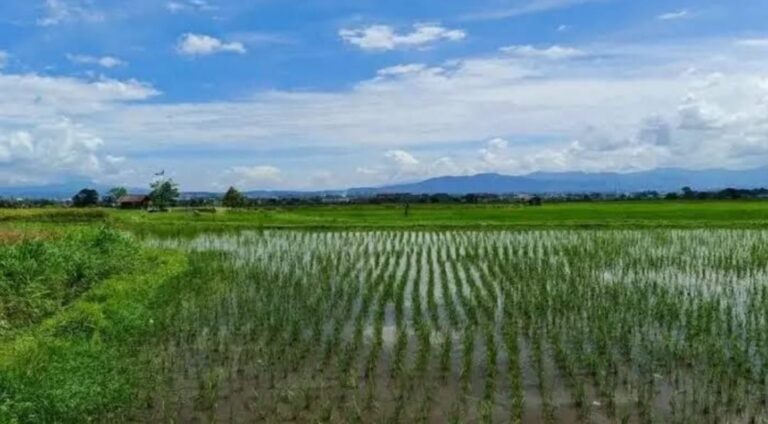 WhatsApp Image 2026-03-31 at 11.56.17