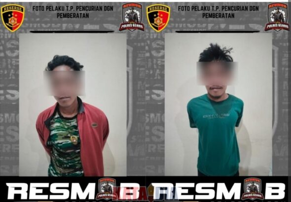 WhatsApp Image 2026-04-01 at 21.43.30